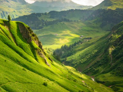 永信贵宾会·217(中国区)官方网站