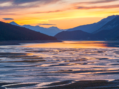 永信贵宾会·217(中国区)官方网站